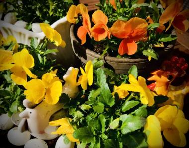 Smacznego jajka,mokrego dyngusa, wiosennego optymizmu i końskiego zdrowia życzą chórzyści i kierownictwo naszego chóru!